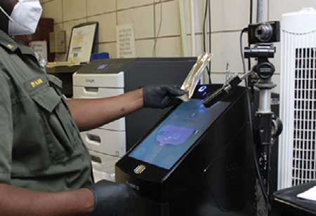 Rapid DNA technology